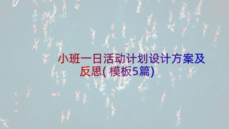 小班一日活动计划设计方案及反思(模板5篇)