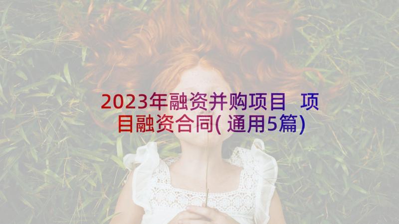 2023年融资并购项目 项目融资合同(通用5篇)