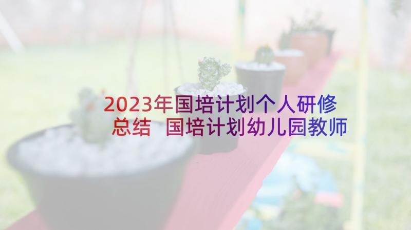 2023年国培计划个人研修总结 国培计划幼儿园教师师德师风(大全5篇)