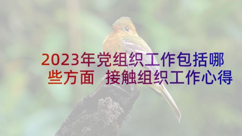 2023年党组织工作包括哪些方面 接触组织工作心得体会(大全10篇)