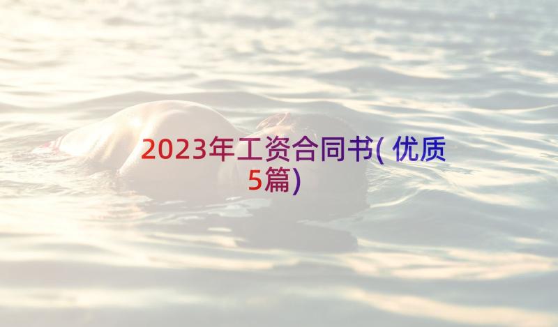 2023年工资合同书(优质5篇)