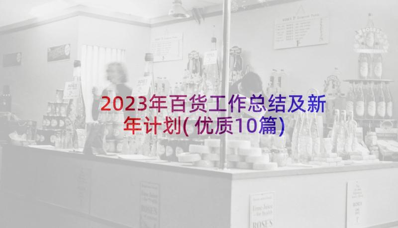 2023年百货工作总结及新年计划(优质10篇)