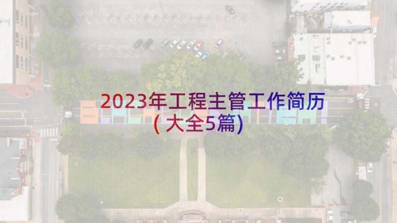 2023年工程主管工作简历(大全5篇)