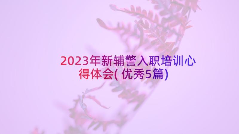 2023年新辅警入职培训心得体会(优秀5篇)