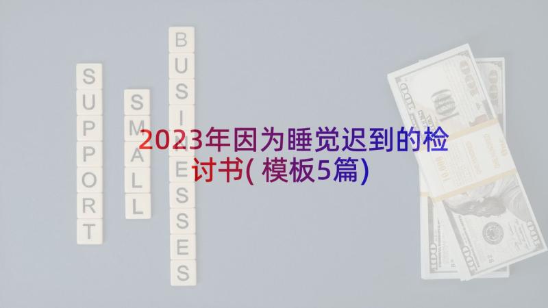 2023年因为睡觉迟到的检讨书(模板5篇)