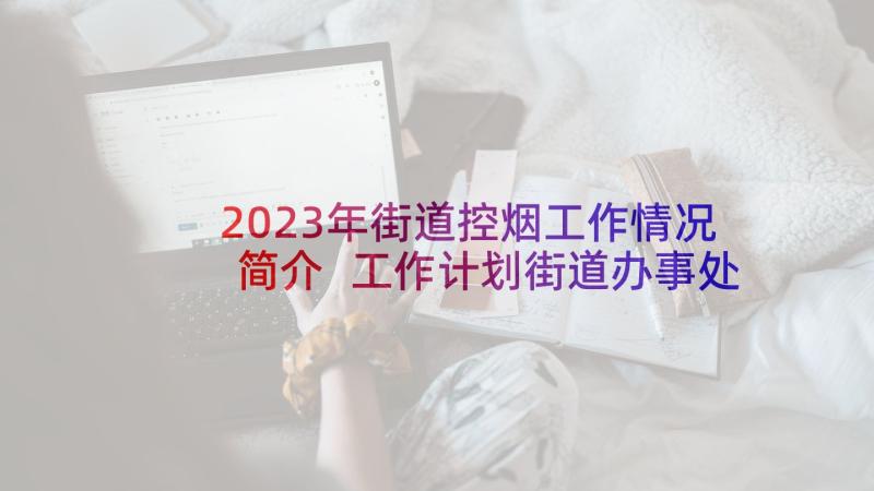 2023年街道控烟工作情况简介 工作计划街道办事处(大全5篇)