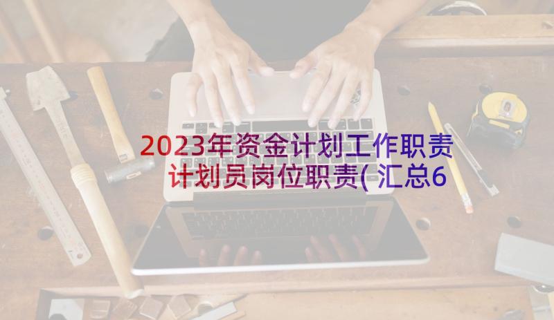 2023年资金计划工作职责 计划员岗位职责(汇总6篇)