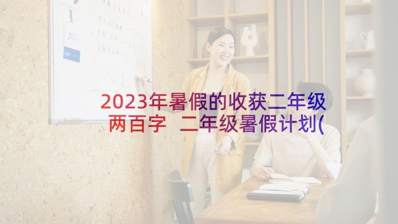 2023年暑假的收获二年级两百字 二年级暑假计划(大全10篇)