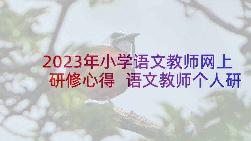 2023年小学语文教师网上研修心得 语文教师个人研修计划(优秀5篇)