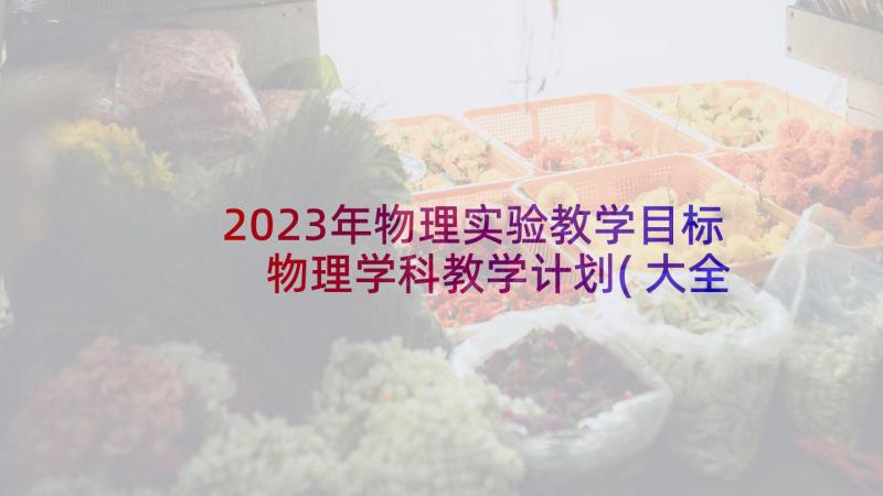 2023年物理实验教学目标 物理学科教学计划(大全6篇)