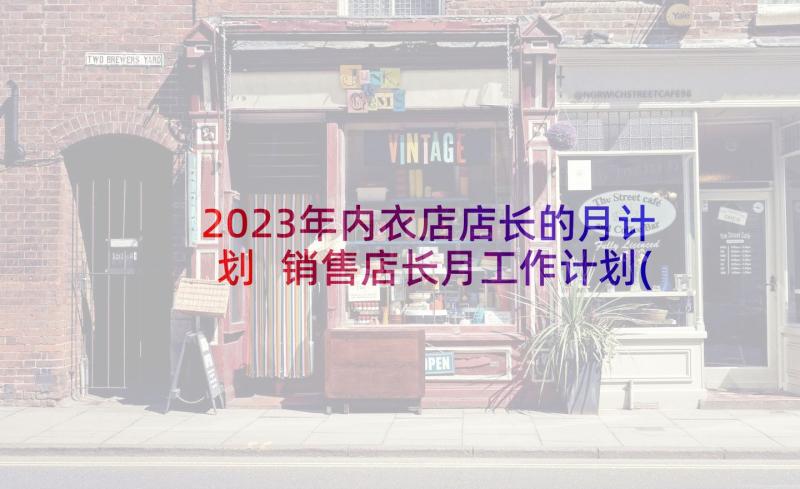 2023年内衣店店长的月计划 销售店长月工作计划(大全5篇)