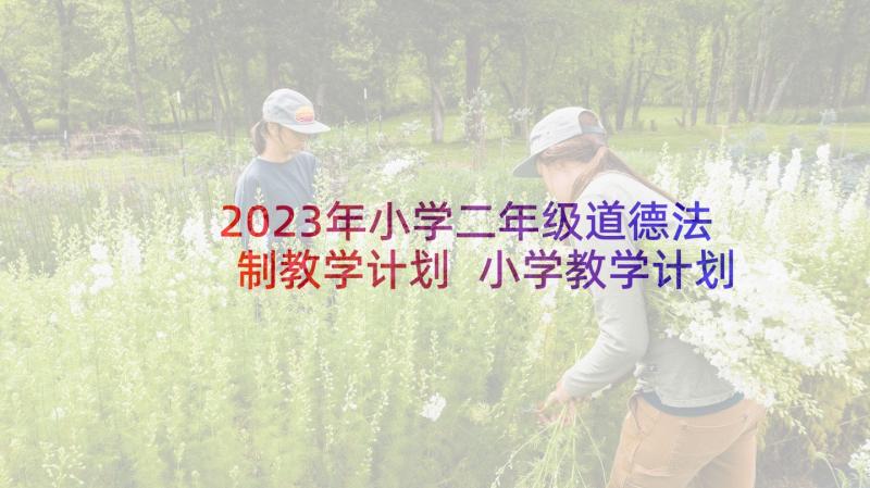 2023年小学二年级道德法制教学计划 小学教学计划二年级(大全5篇)