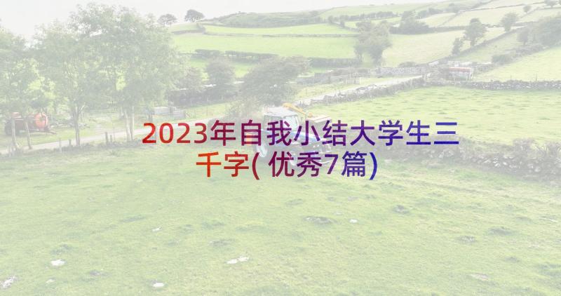 2023年自我小结大学生三千字(优秀7篇)