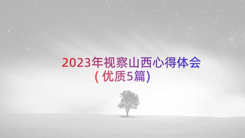 2023年视察山西心得体会(优质5篇)