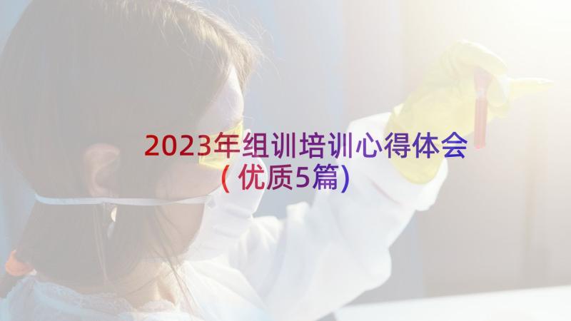 2023年组训培训心得体会(优质5篇)