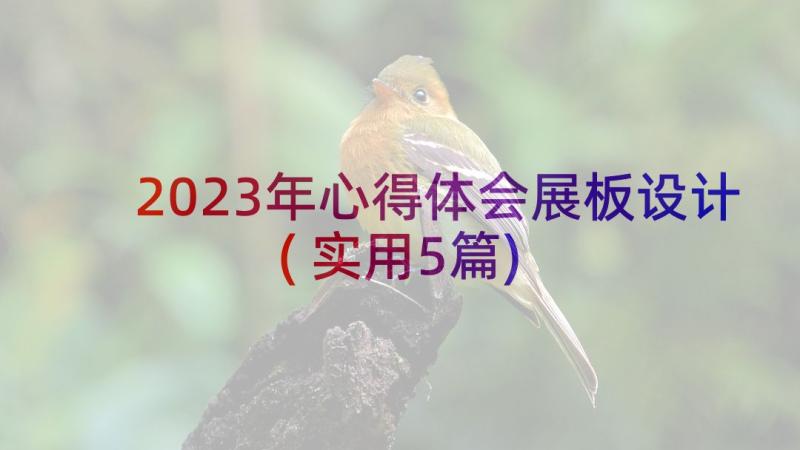 2023年心得体会展板设计(实用5篇)