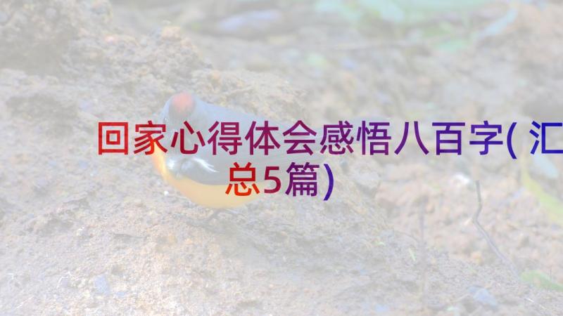 回家心得体会感悟八百字(汇总5篇)