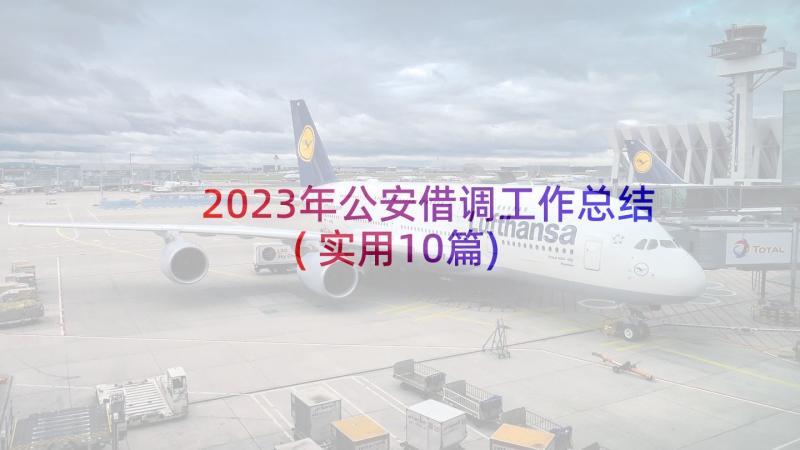 2023年公安借调工作总结(实用10篇)