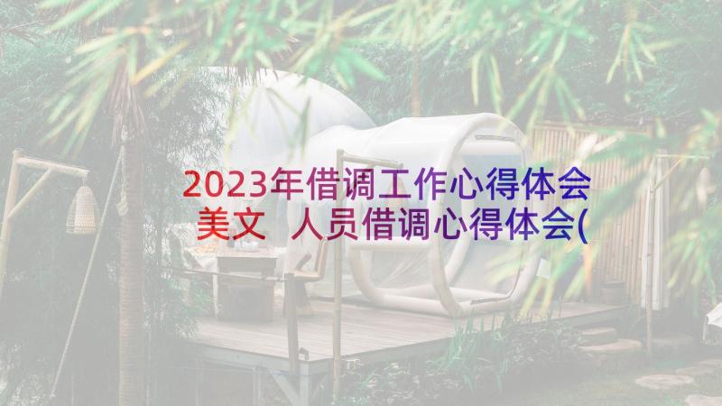 2023年借调工作心得体会美文 人员借调心得体会(精选7篇)