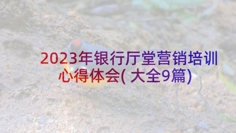 2023年银行厅堂营销培训心得体会(大全9篇)