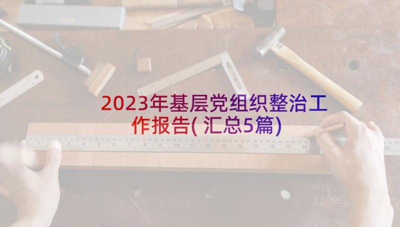 2023年基层党组织整治工作报告(汇总5篇)