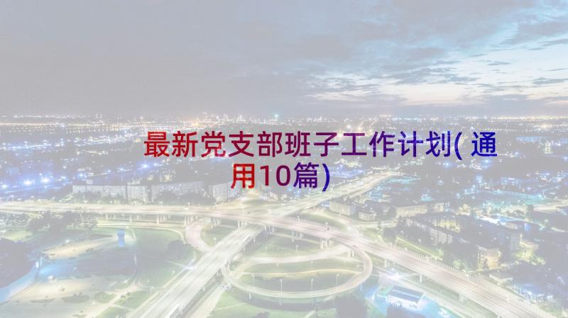 最新党支部班子工作计划(通用10篇)