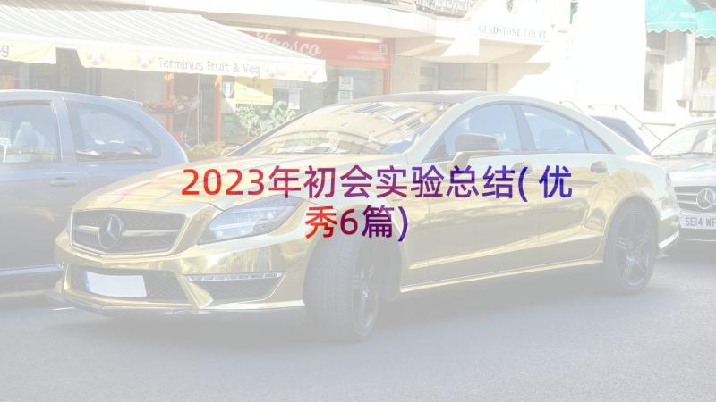 2023年初会实验总结(优秀6篇)