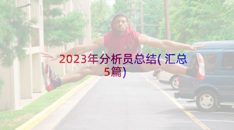 2023年分析员总结(汇总5篇)