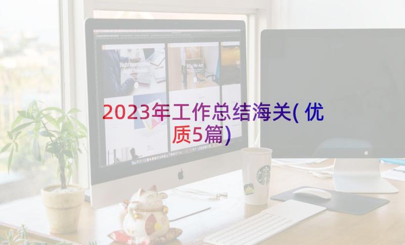 2023年工作总结海关(优质5篇)