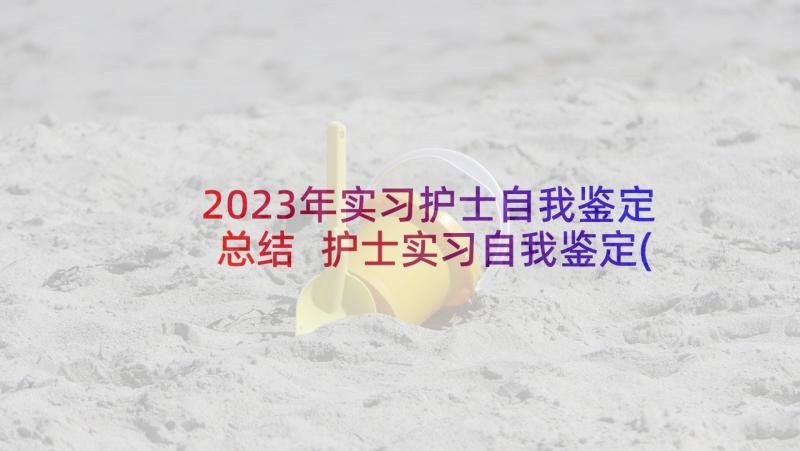 2023年实习护士自我鉴定总结 护士实习自我鉴定(大全8篇)