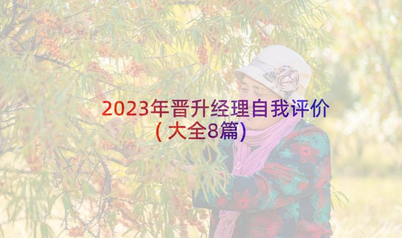 2023年晋升经理自我评价(大全8篇)