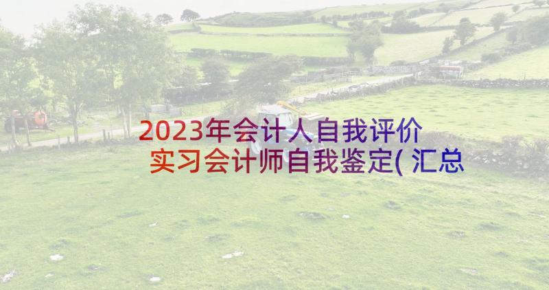 2023年会计人自我评价 实习会计师自我鉴定(汇总5篇)