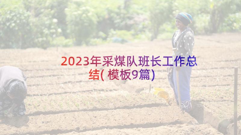 2023年采煤队班长工作总结(模板9篇)