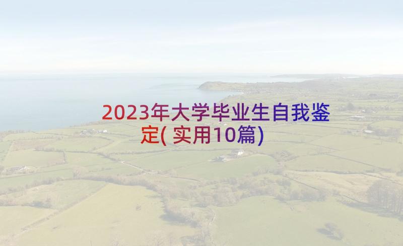 2023年大学毕业生自我鉴定(实用10篇)