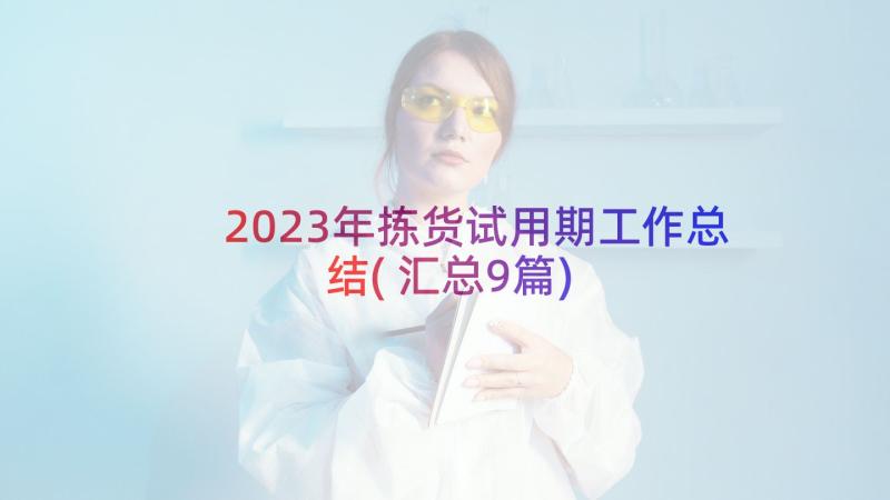 2023年拣货试用期工作总结(汇总9篇)