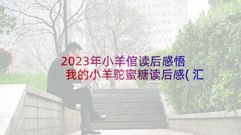 2023年小羊倌读后感悟 我的小羊驼蜜糖读后感(汇总9篇)