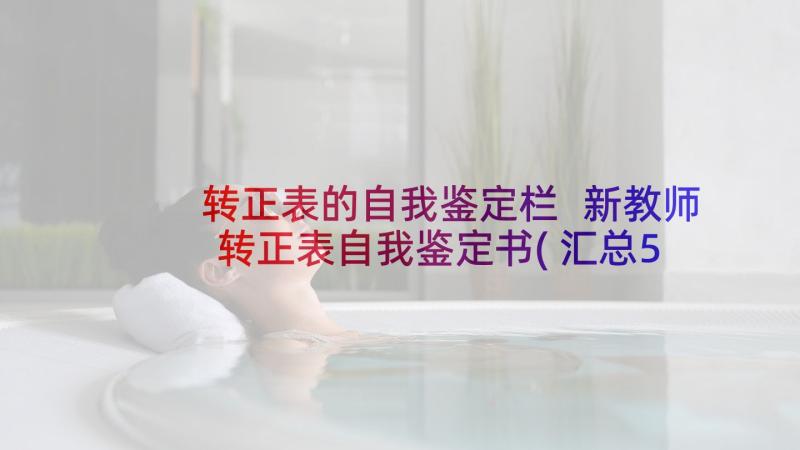 转正表的自我鉴定栏 新教师转正表自我鉴定书(汇总5篇)