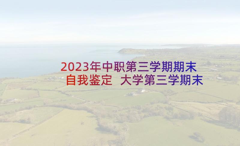 2023年中职第三学期期末自我鉴定 大学第三学期末的自我鉴定(模板5篇)