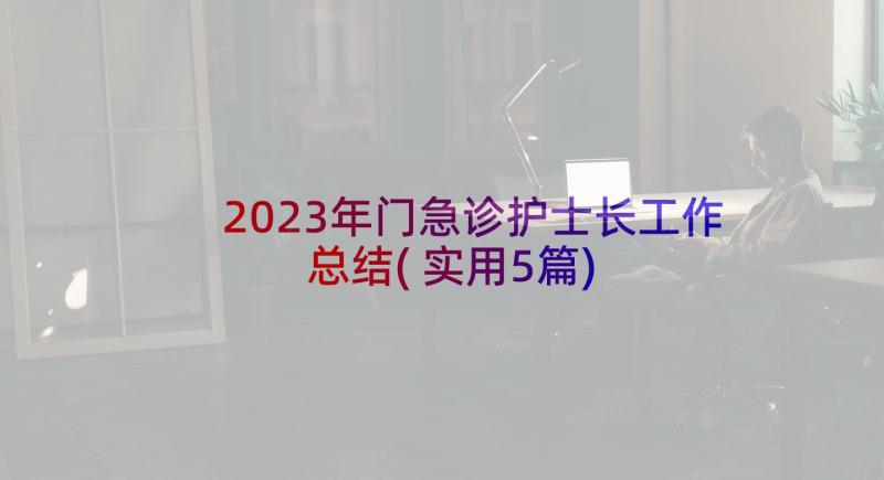 2023年门急诊护士长工作总结(实用5篇)