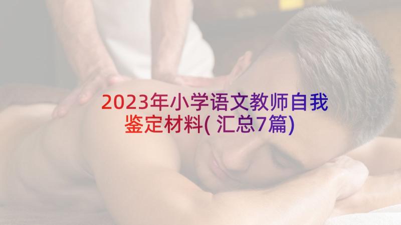 2023年小学语文教师自我鉴定材料(汇总7篇)