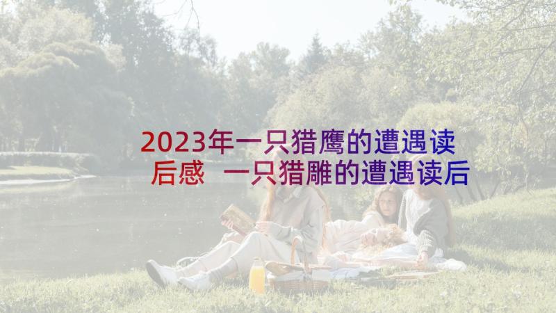 2023年一只猎鹰的遭遇读后感 一只猎雕的遭遇读后感(汇总6篇)