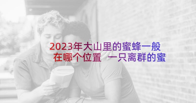 2023年大山里的蜜蜂一般在哪个位置 一只离群的蜜蜂读后感初中(精选7篇)