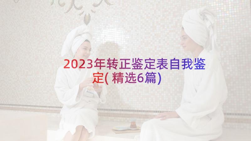 2023年转正鉴定表自我鉴定(精选6篇)