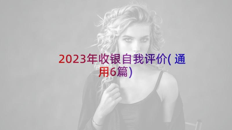 2023年收银自我评价(通用6篇)