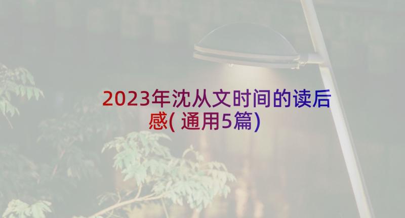 2023年沈从文时间的读后感(通用5篇)