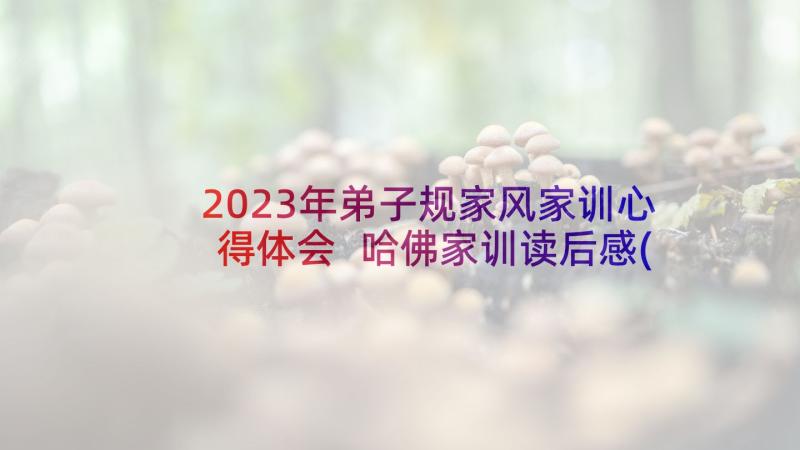 2023年弟子规家风家训心得体会 哈佛家训读后感(大全7篇)