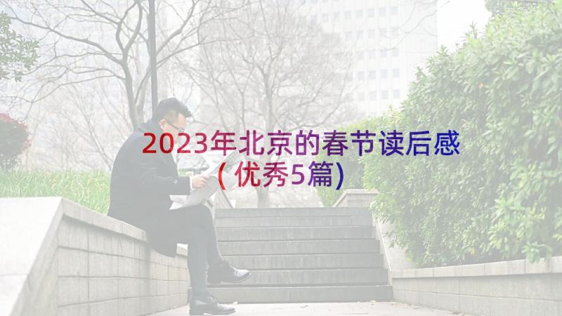 2023年北京的春节读后感(优秀5篇)