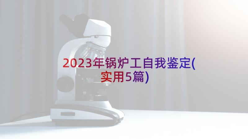 2023年锅炉工自我鉴定(实用5篇)