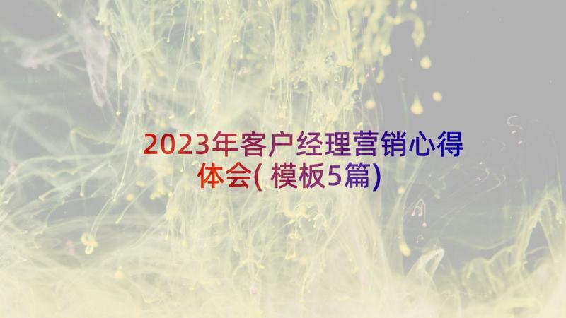 2023年客户经理营销心得体会(模板5篇)