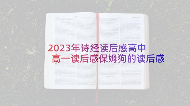 2023年诗经读后感高中 高一读后感保姆狗的读后感(优质9篇)